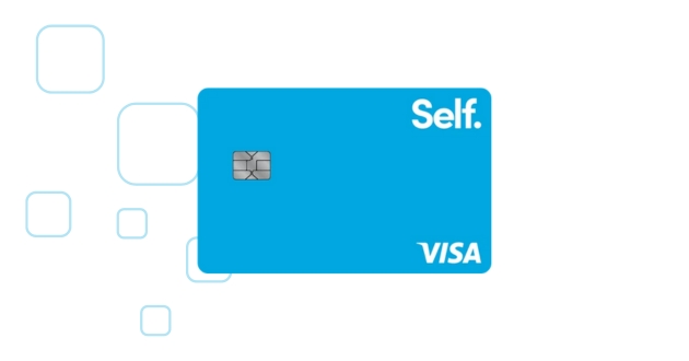 Self Visa Credit Card Review